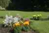 Flower Beds